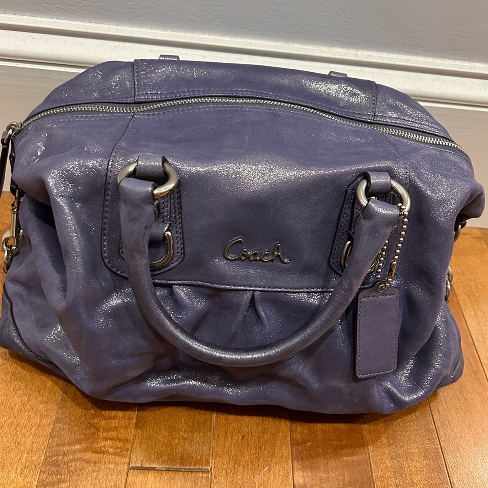 Coach Metallic Purse